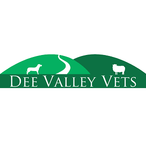 Dee Valley Vets